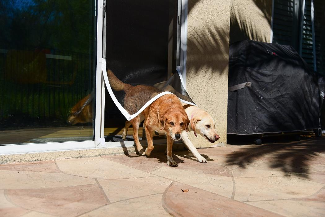 PetDoors.com - San Luis Obispo, CA