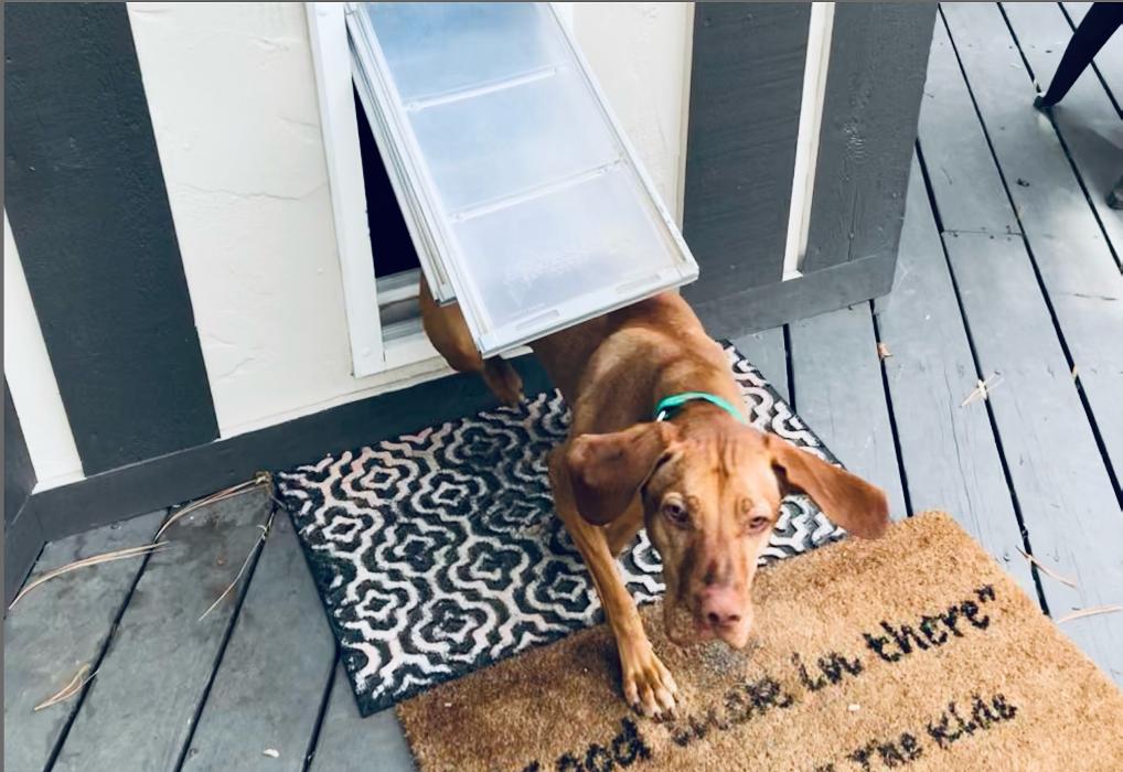 PetDoors.com - San Luis Obispo, CA