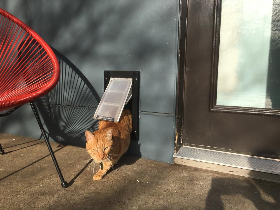 PetDoors.com - San Luis Obispo, CA