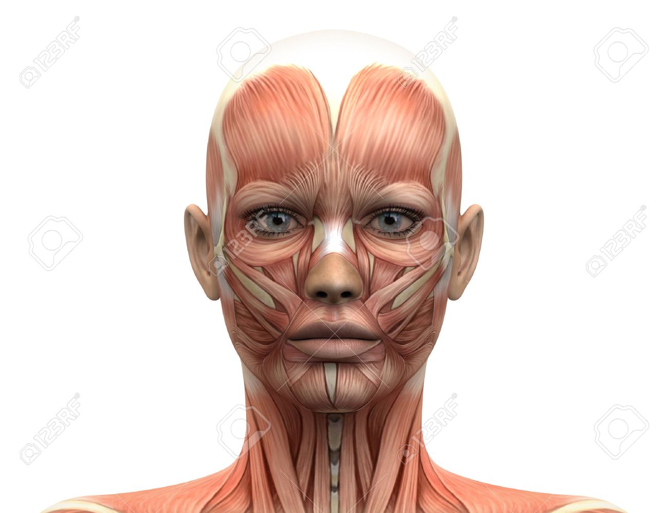 Dr Jérôme Quezel-Guerraz institut de beauté