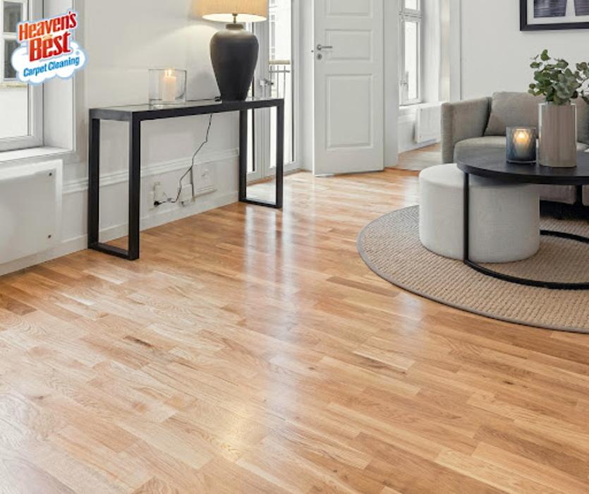 Heaven's Best Carpet Cleaning Brandon FL - Valrico, FL