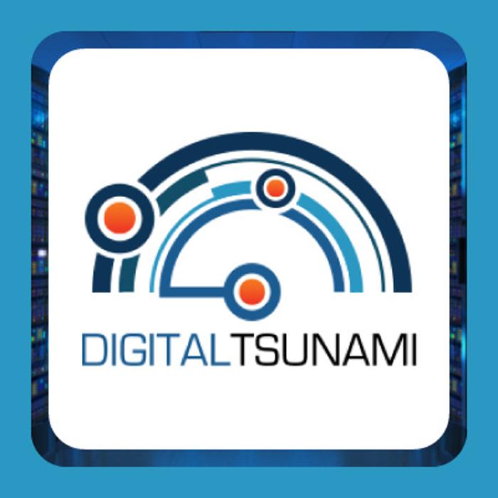 Digital Tsunami, LLC - Port Saint Lucie, FL