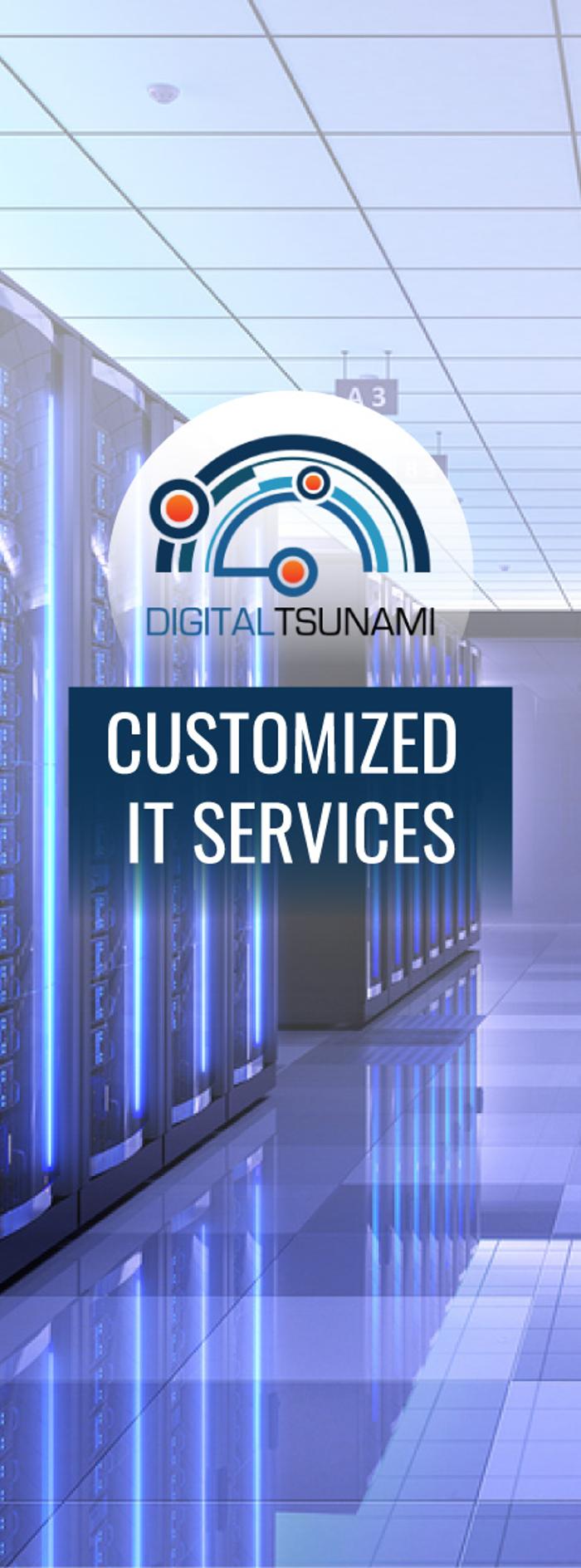 Digital Tsunami, LLC - Port Saint Lucie, FL