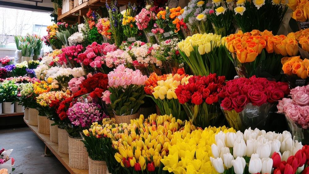 Blumenhaus Fehlhaber, Baustraße in Prenzlau