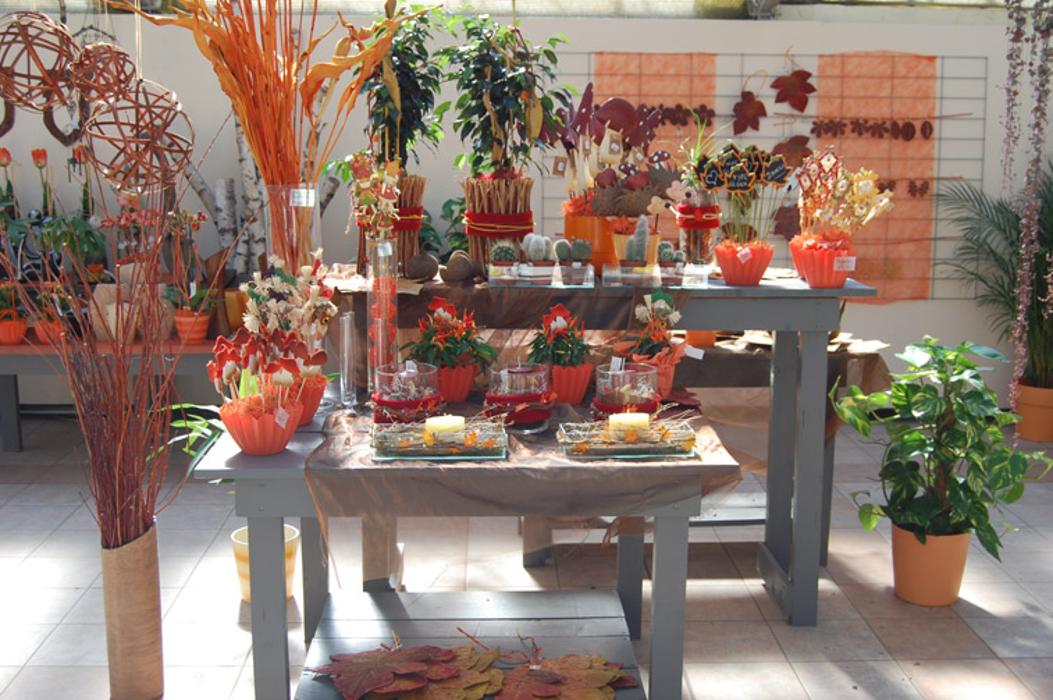 Clemens Ranseder - Blumen - Gärtnerei - Floristik, Weberzeile in Ried im Innkreis