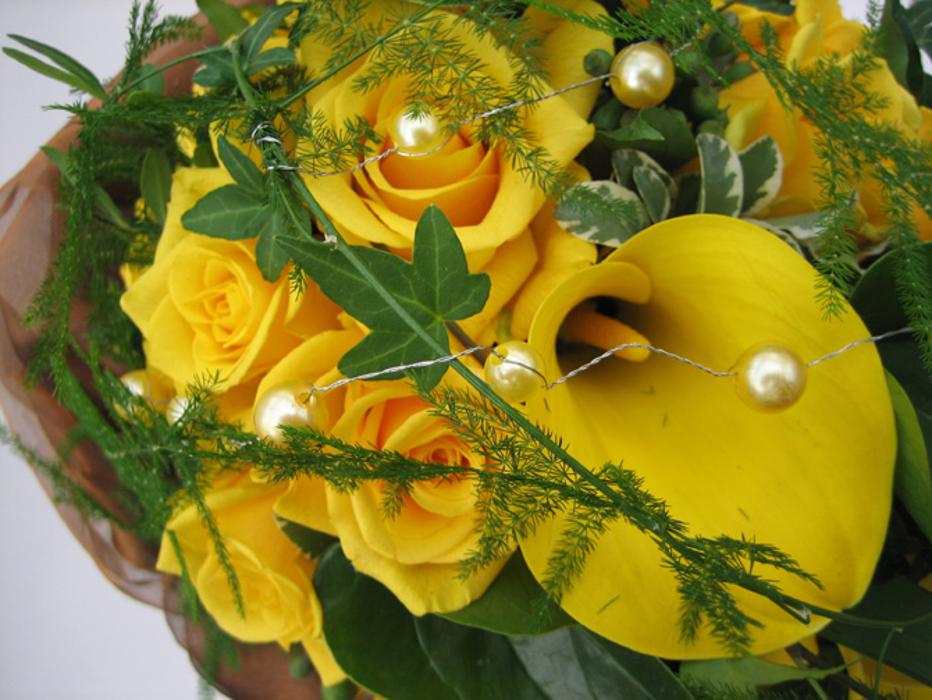 Clemens Ranseder - Blumen - Gärtnerei - Floristik, Weberzeile in Ried im Innkreis