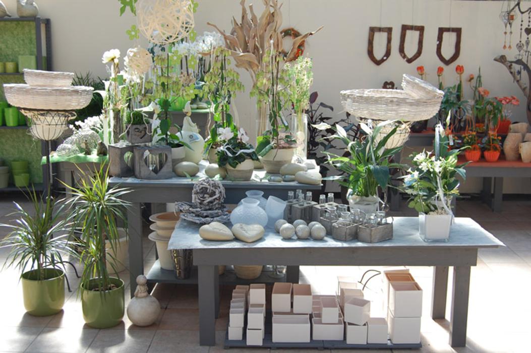 Clemens Ranseder - Blumen - Gärtnerei - Floristik, Weberzeile in Ried im Innkreis