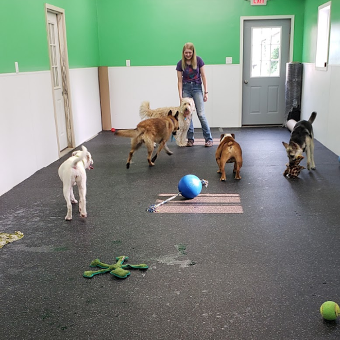 Jagers' Pet Grooming - Atkinson, IL