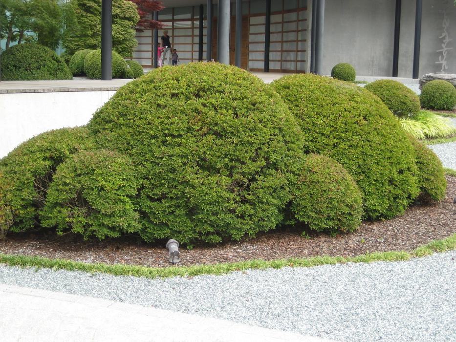 Kern Gärtnerei, Glärnischstrasse in Horgen