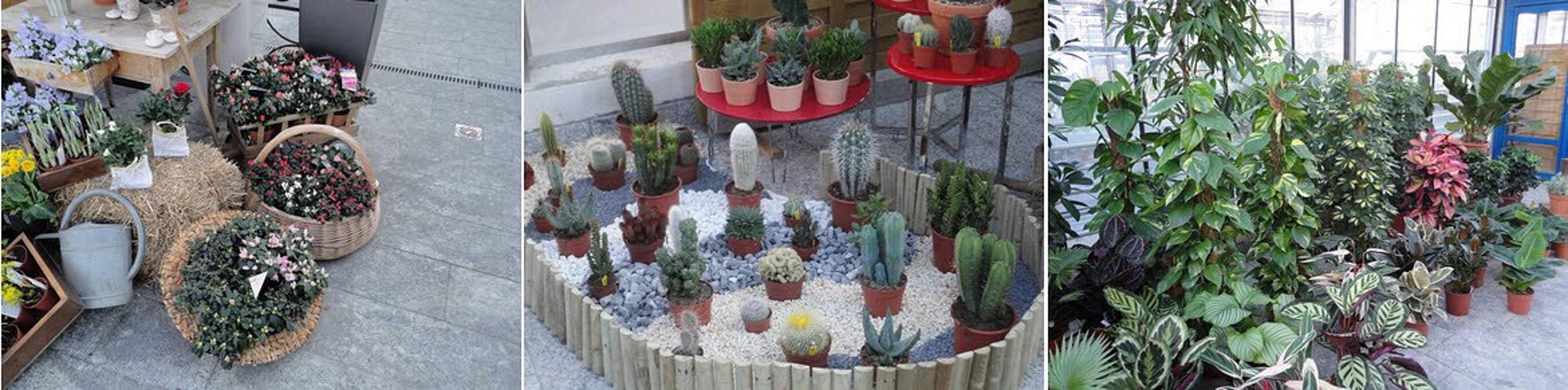 Kern Gärtnerei, Glärnischstrasse in Horgen