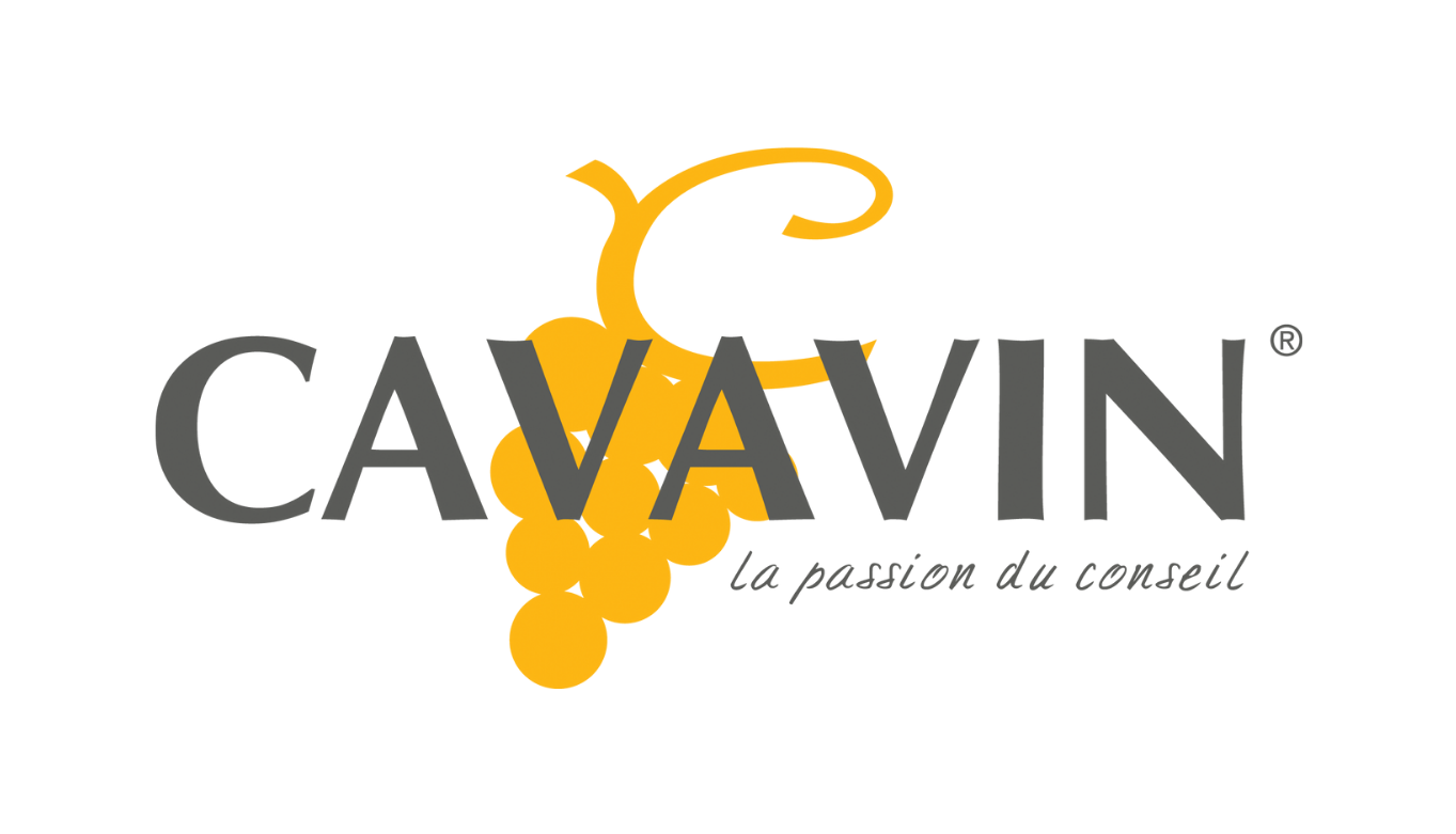 CAVAVIN - Toulouse entrepôt et magasin général