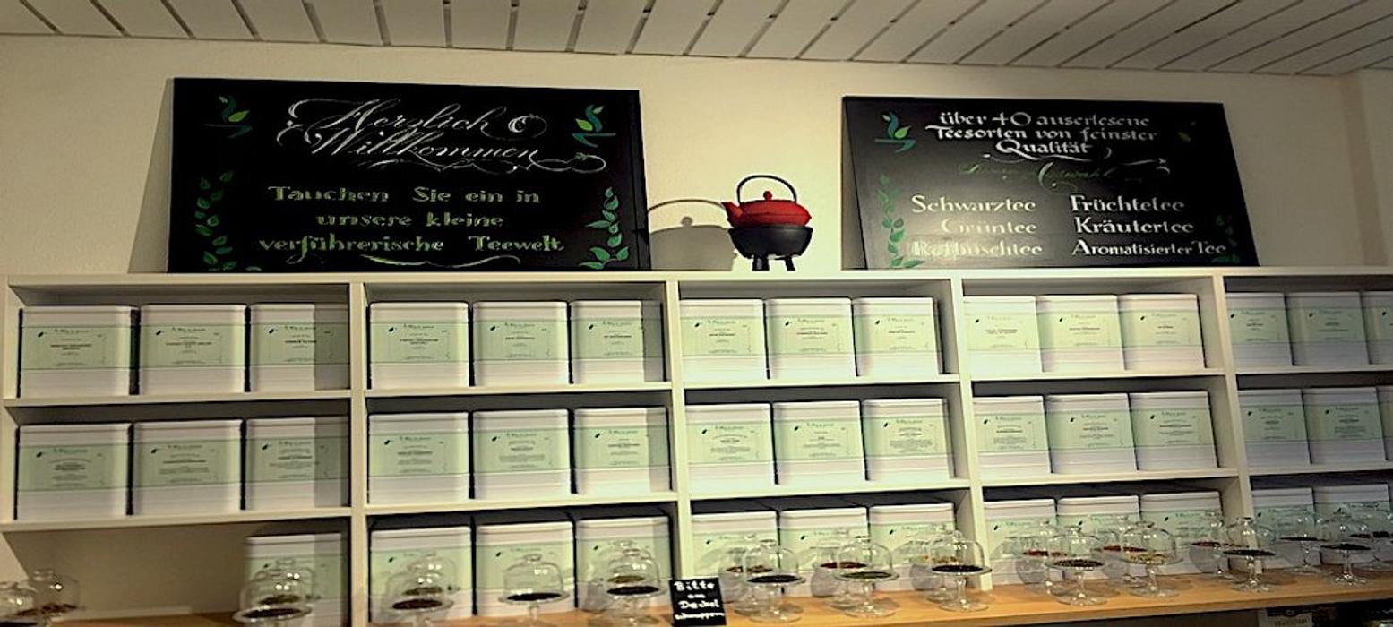 Alpha Balance, Regula Wagner, Hönggerstrasse in Zürich