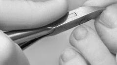 Deutscher Verband für Podologie (ZFD) e.V. in Kassel