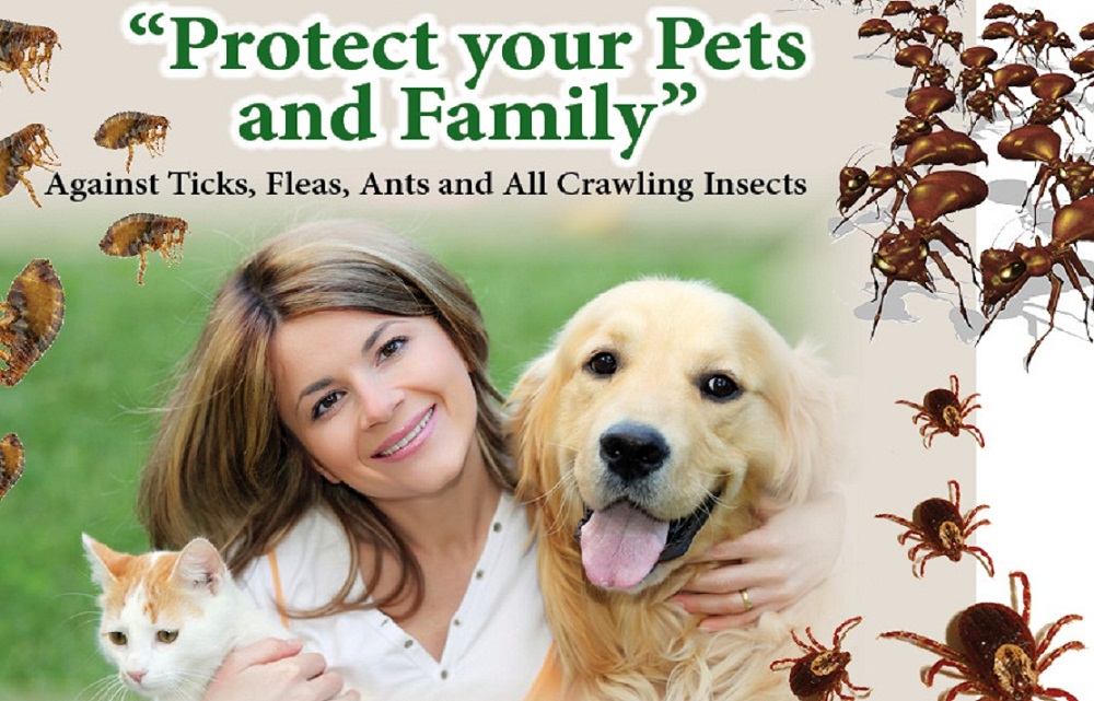 Planet Friendly Pest Control, Exterminator and Termite Treatment for the "Planet Friendly" Minded Residents of Northern Virginia and Southern Maryland