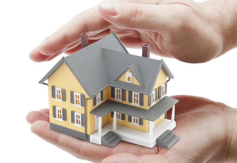 Planet Friendly Pest Control, Exterminator and Termite Treatment for the "Planet Friendly" Minded Residents of Northern Virginia and Southern Maryland