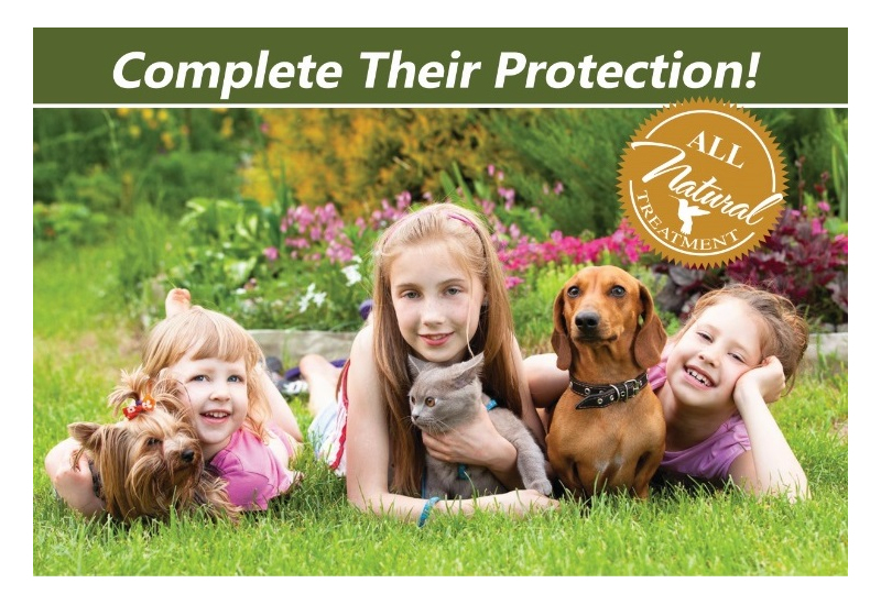 Planet Friendly Pest Control, Exterminator and Termite Treatment for the "Planet Friendly" Minded Residents of Northern Virginia and Southern Maryland