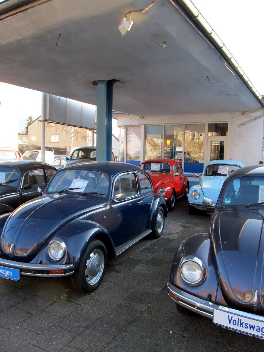 Galerie-Thumbnail