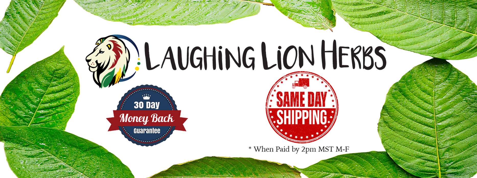 Laughing Lion Herbs - Monument, CO
