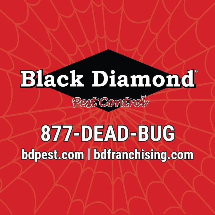Black Diamond Pest Control of Indy - Indianapolis, IN