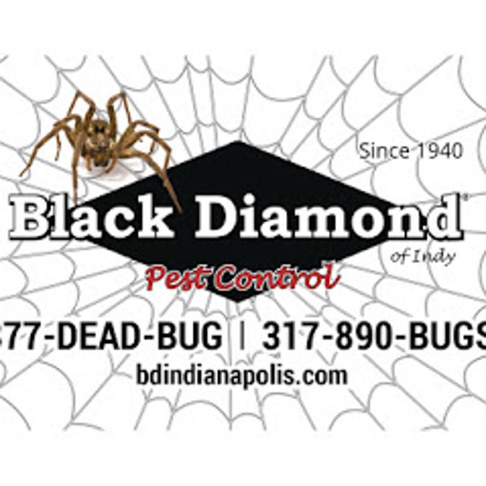 Black Diamond Pest Control of Indy - Indianapolis, IN