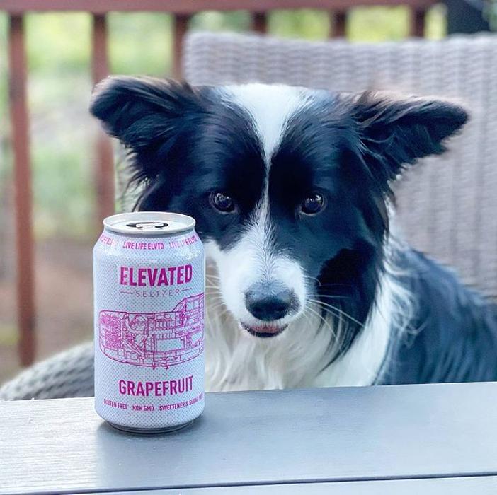 Elevated Seltzer - Arvada, CO