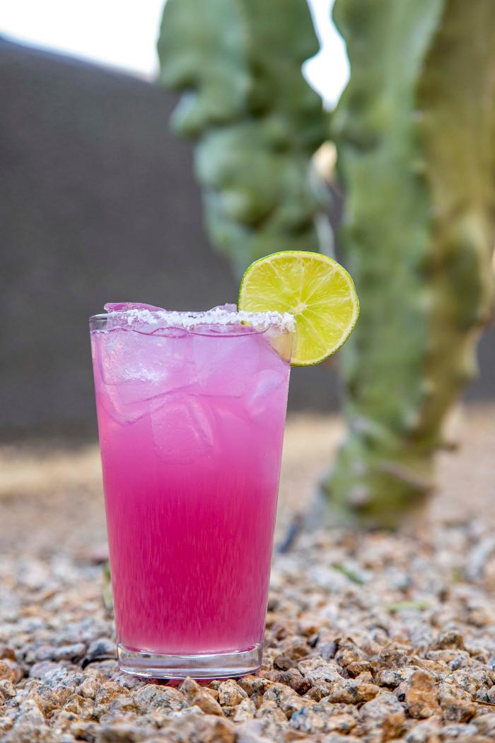 Macayo's Mexican Food - Phoenix, AZ