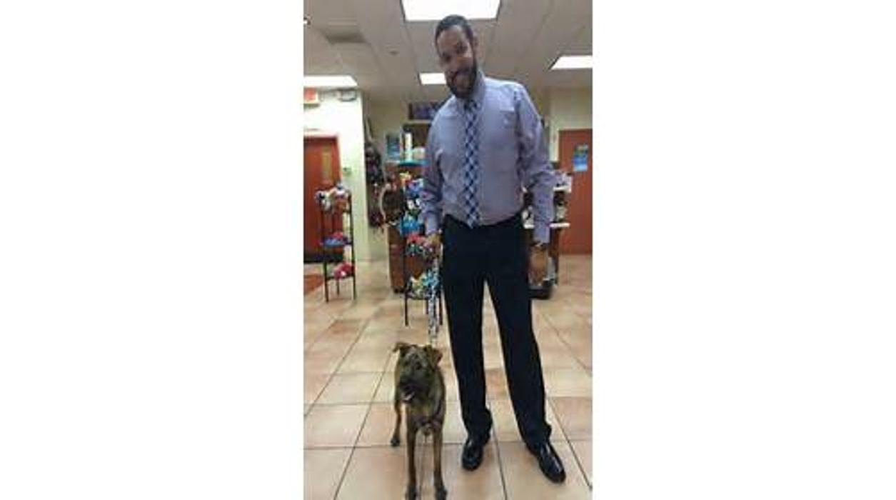 Humane Society Of Greater Miami North