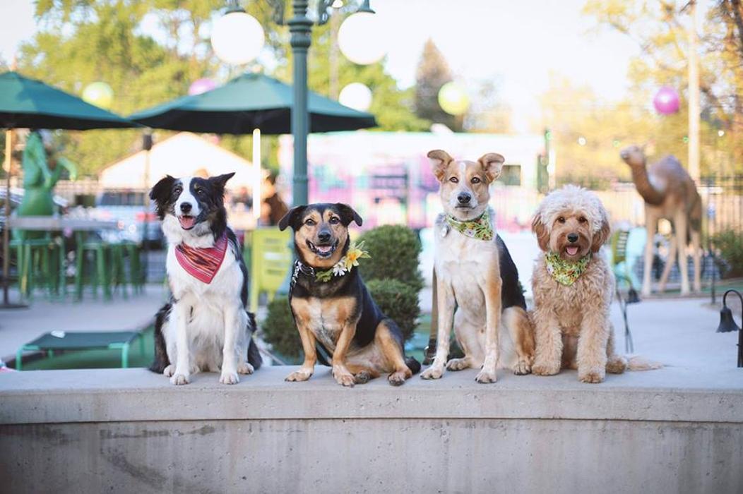 Betty Danger's Country Club - Minneapolis, MN