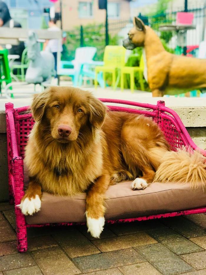 Betty Danger's Country Club - Minneapolis, MN