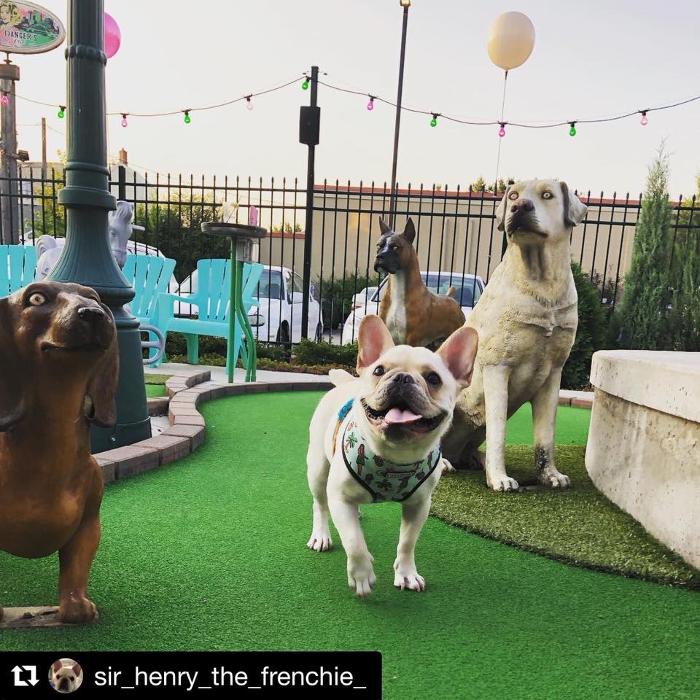 Betty Danger's Country Club - Minneapolis, MN