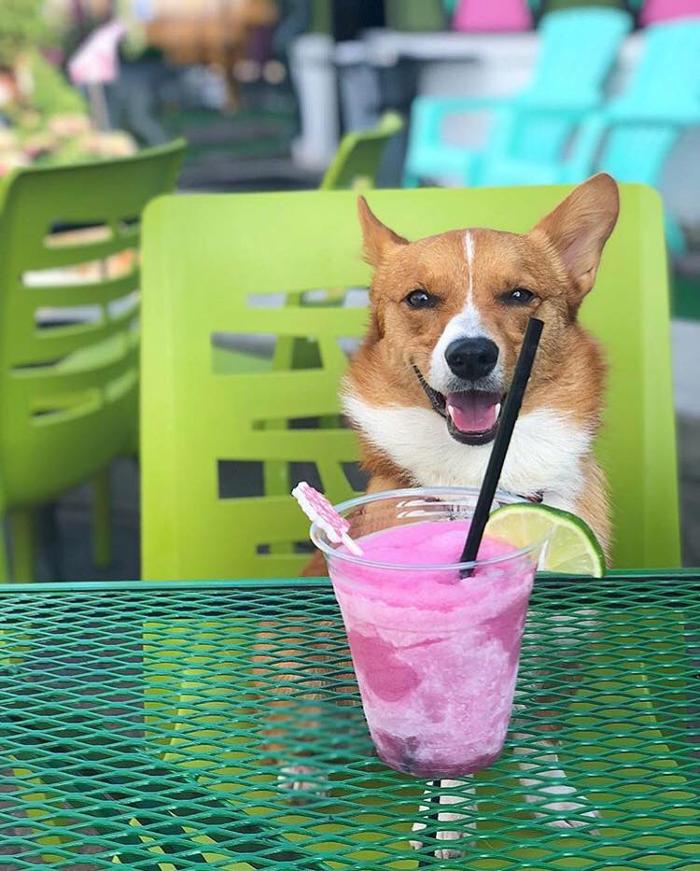 Betty Danger's Country Club - Minneapolis, MN