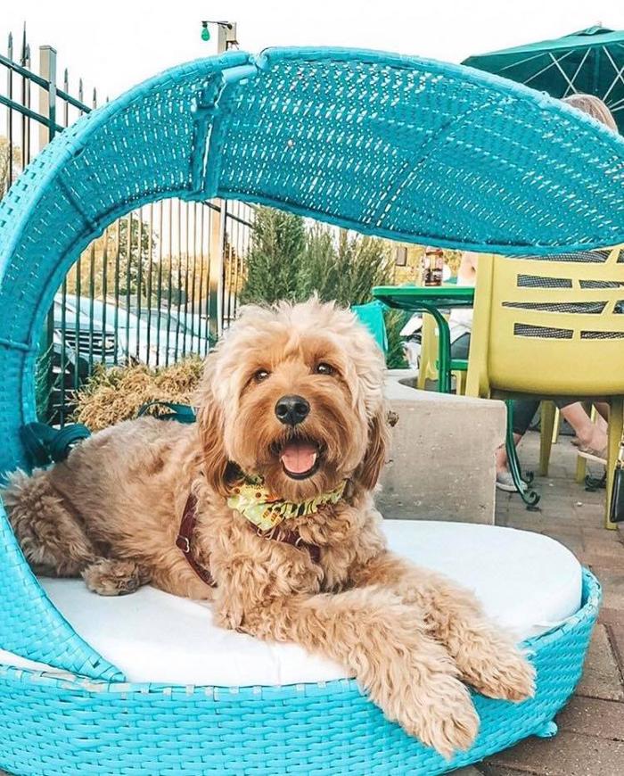 Betty Danger's Country Club - Minneapolis, MN