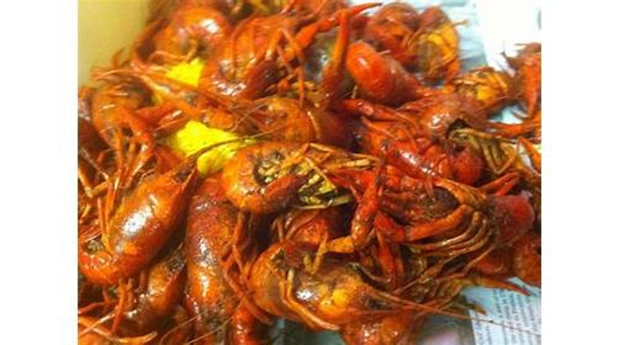 Ragin' Catering - Houston, TX