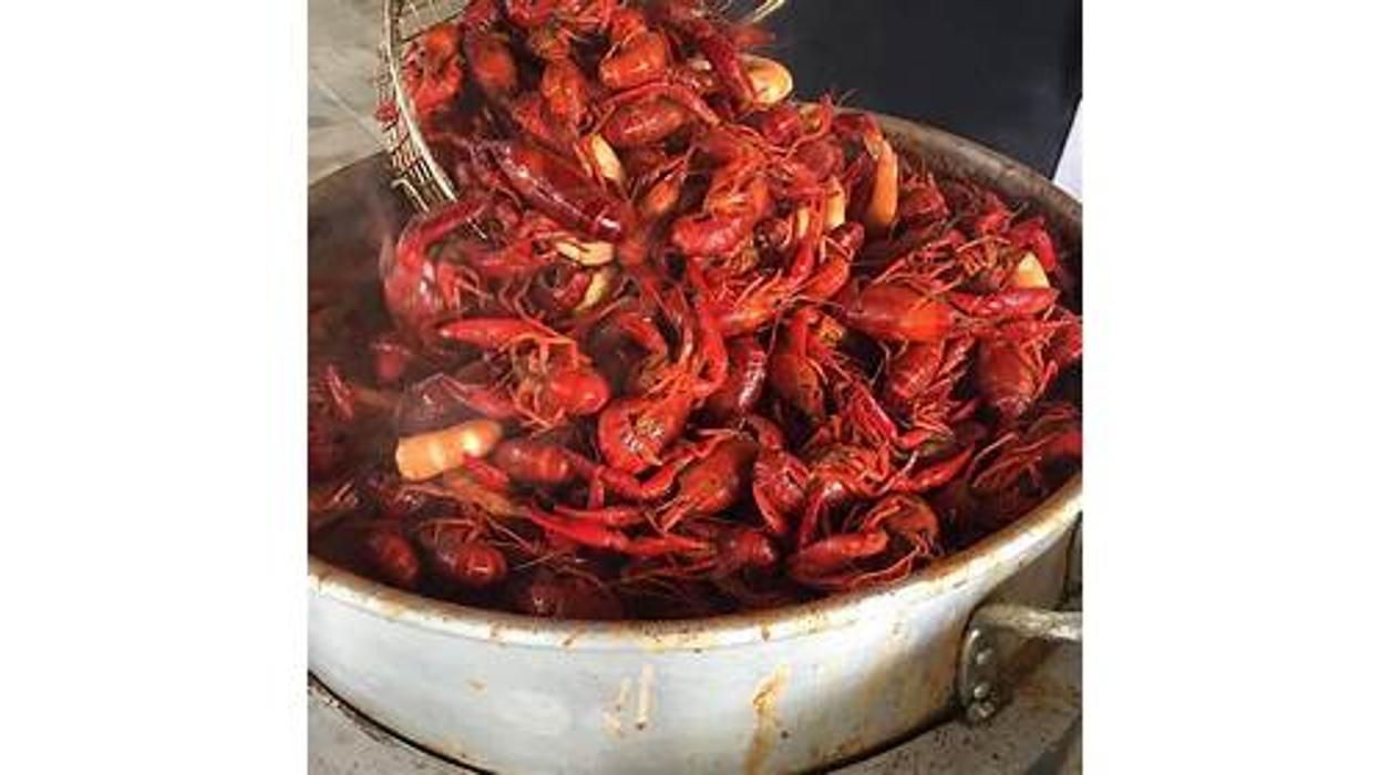 Ragin' Catering - Houston, TX