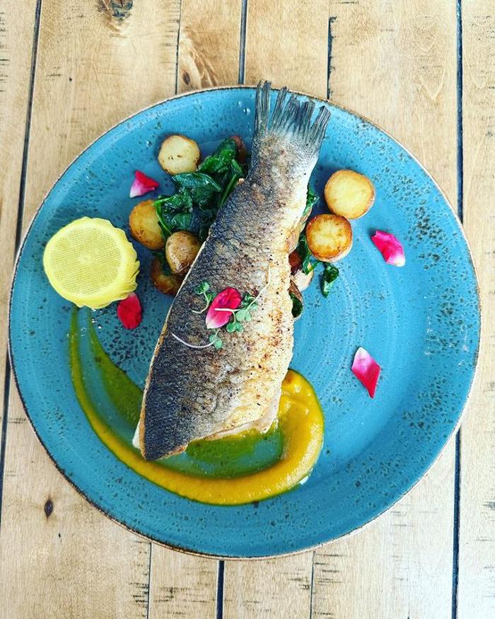 Donna Mare Trattoria - Miami Beach, FL