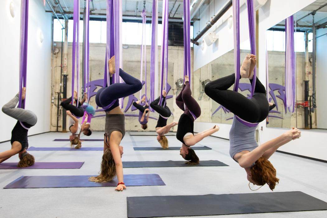 Fly Freak Studio - Saint Paul, MN