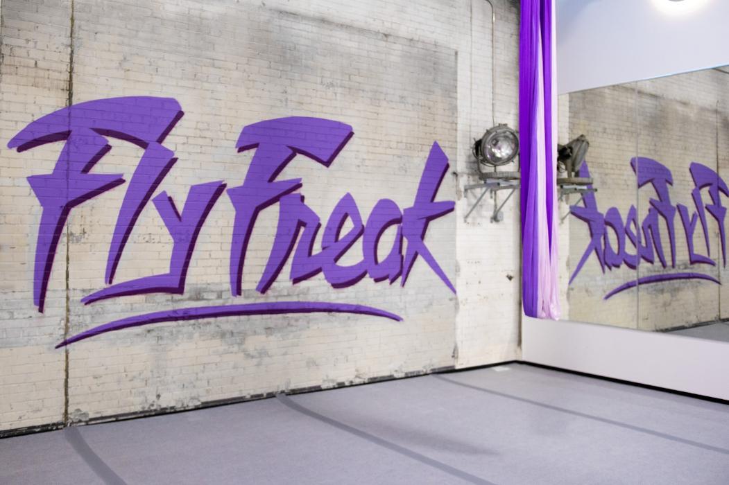 Fly Freak Studio - Saint Paul, MN