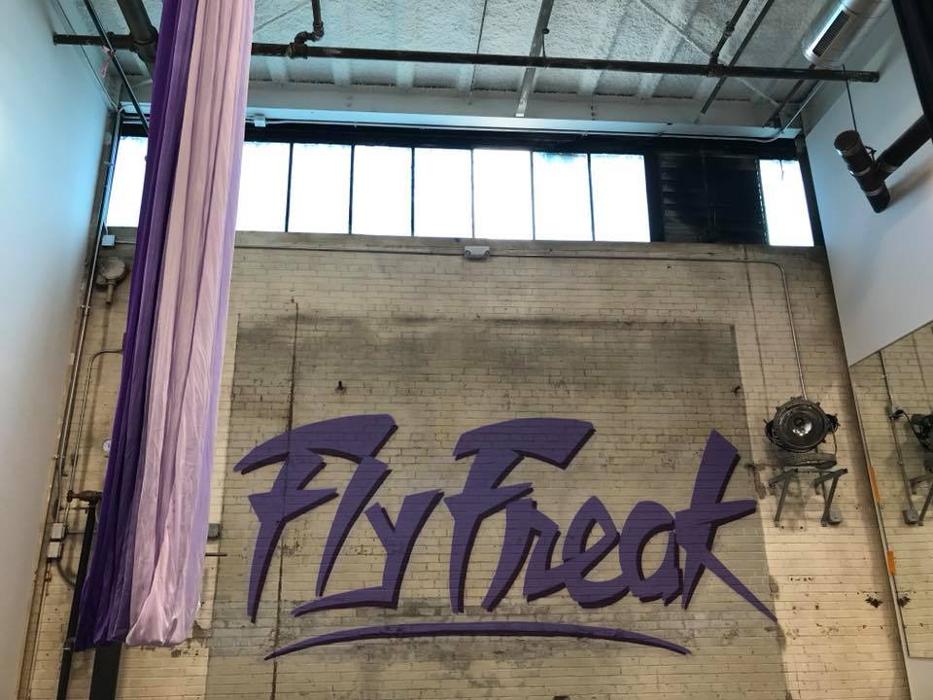 Fly Freak Studio - Saint Paul, MN