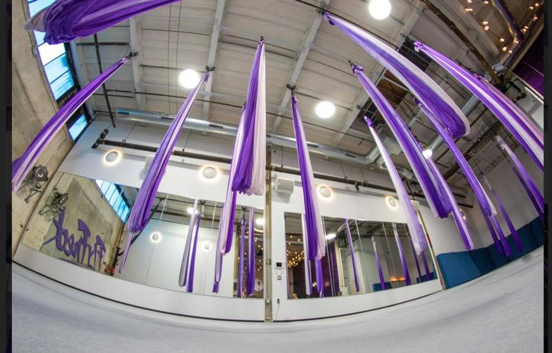 Fly Freak Studio - Saint Paul, MN