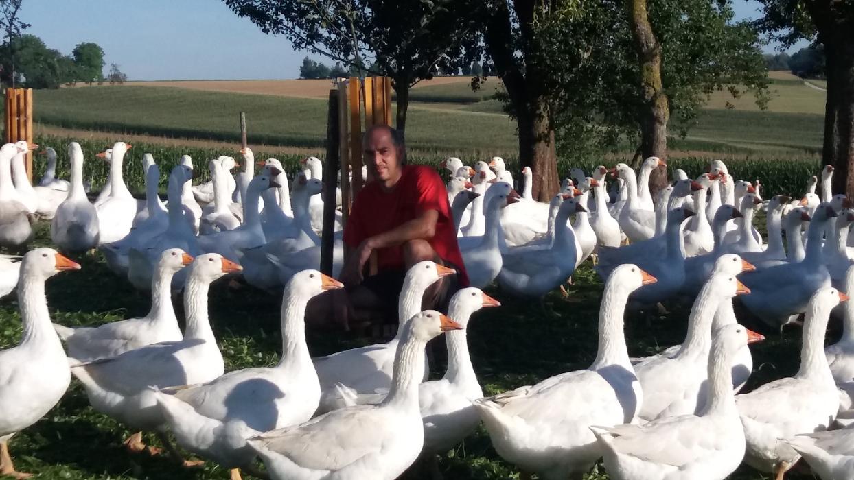 Ganslhof Hebesberger, Natzberg in Natzberg