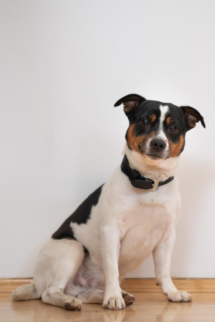 glücklichzuhause.at - Stummer OG, Bergstraße in Graz