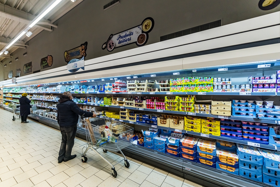 Miniature de la galerie