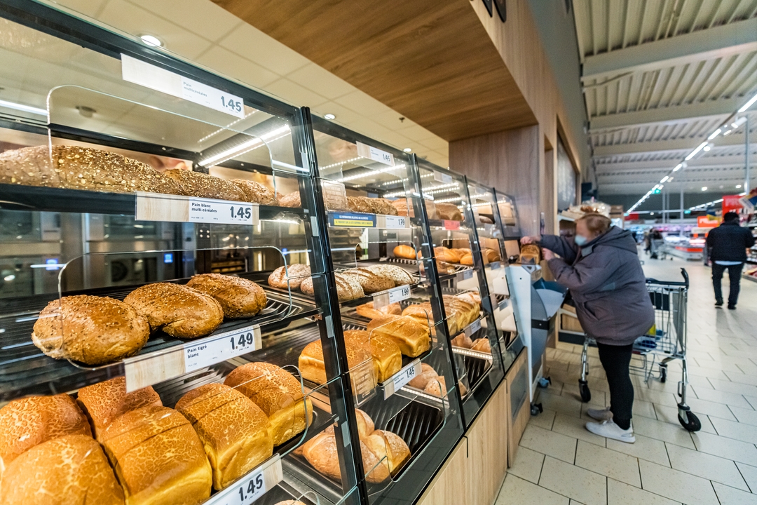 Miniature de la galerie