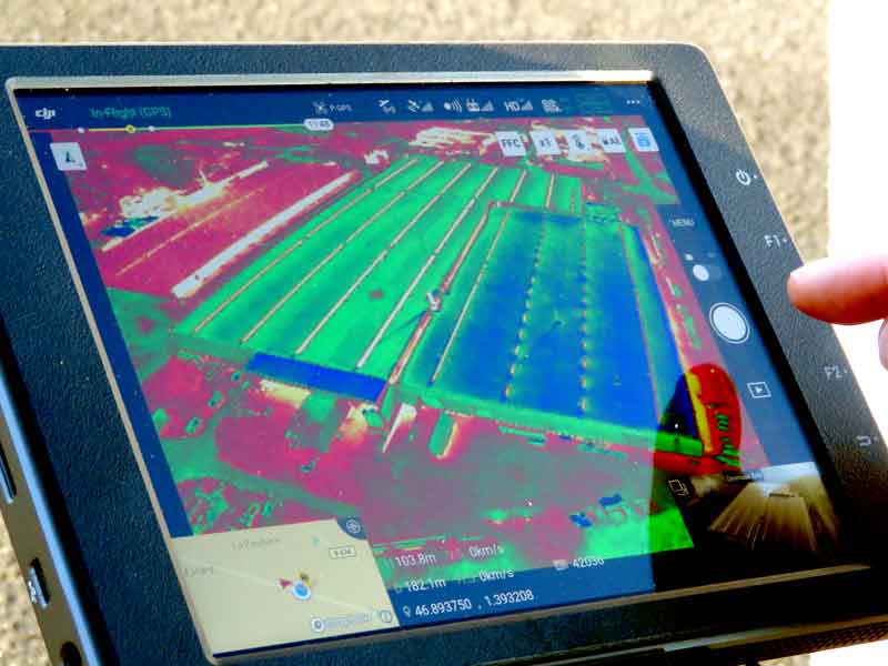 Miniature de la galerie