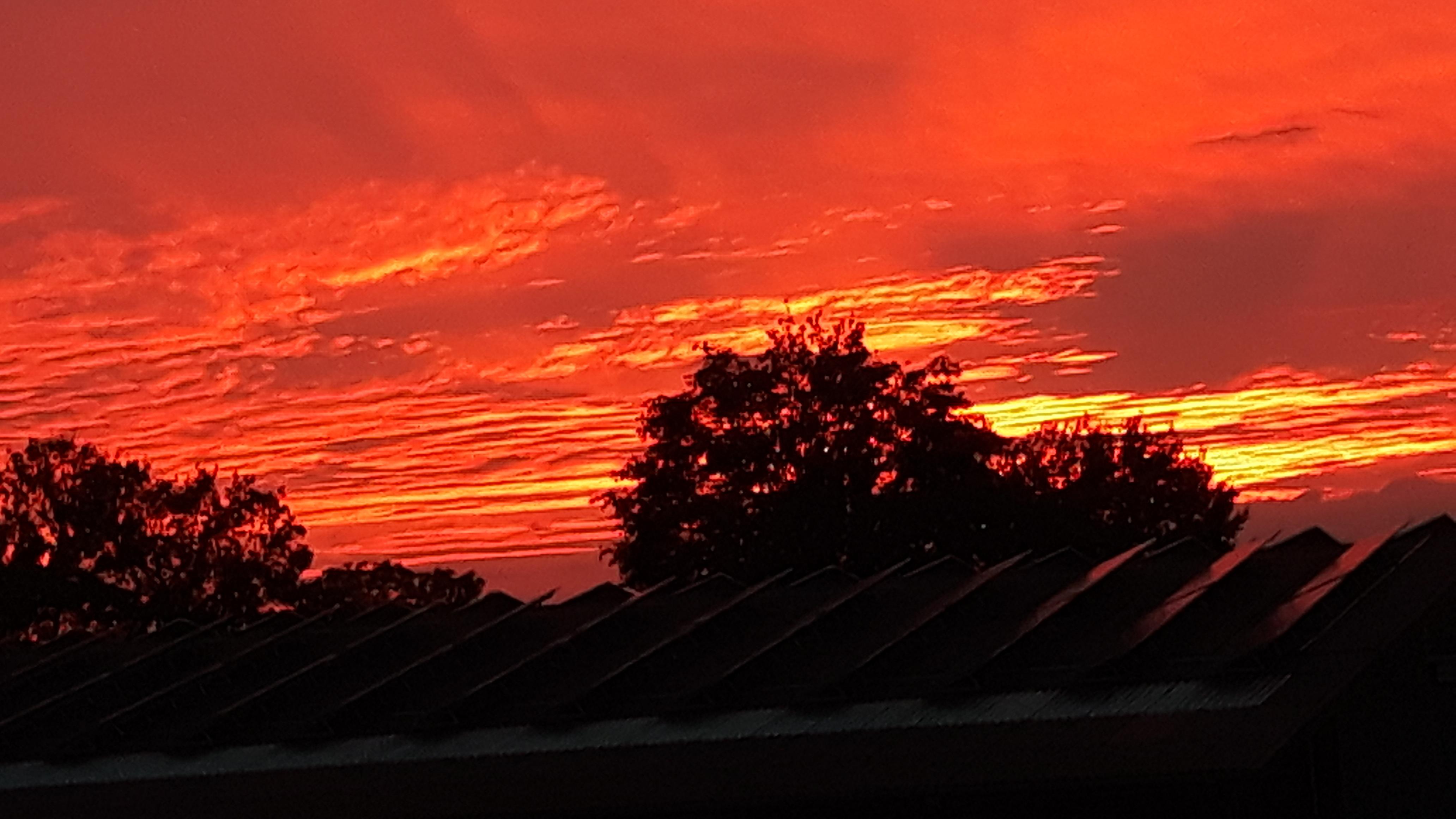 Landhaus Maria Ferienwohnungen, Bruchhöfe in Bad Schönborn