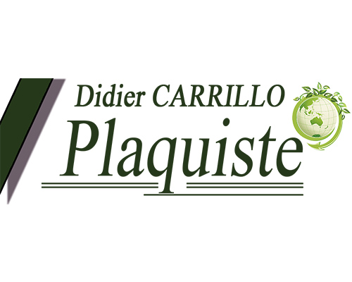 CARRILLO DIDIER Expert