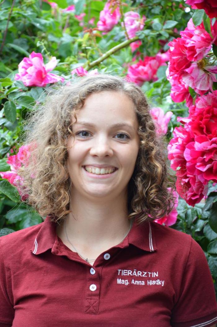 Tierärzteteam Lanzenkirchen - Dr. Bernhard Samm, Hauptstraße in Lanzenkirchen