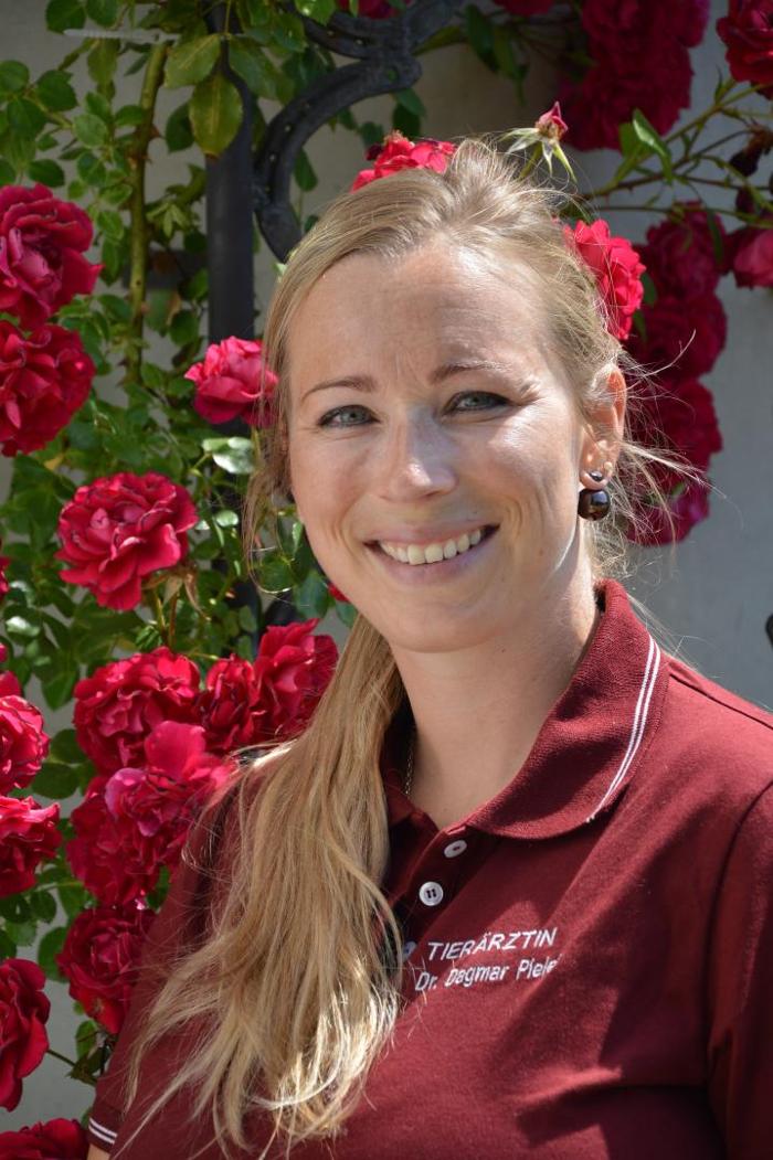 Tierärzteteam Lanzenkirchen - Dr. Bernhard Samm, Hauptstraße in Lanzenkirchen