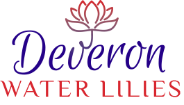 Deveron Water Lilies - Huntly, Aberdeenshire AB54 6XS - 07787 417924 | ShowMeLocal.com