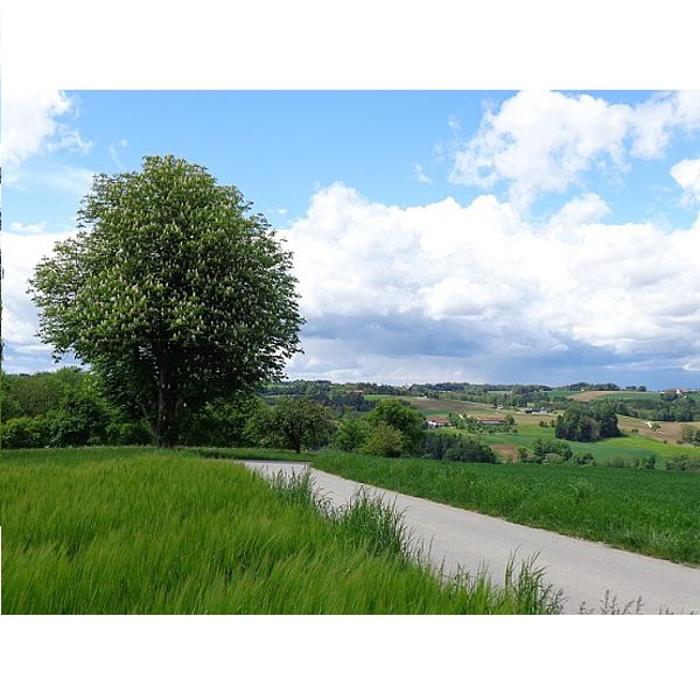 Regiona Versicherungsverein Wartberg, Hauptstraße in Wartberg an der Krems